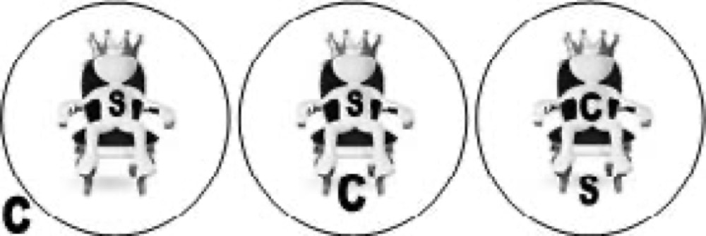 what is a disciple circle illustration
